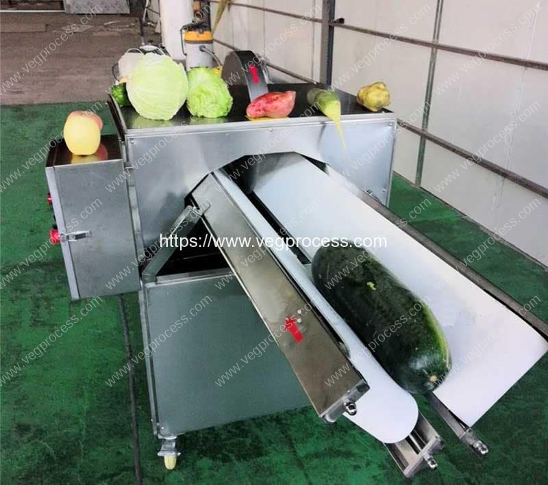 Automatic Vegetable Half Cutting Machine  Vegetable Processing Machine  Manufacture